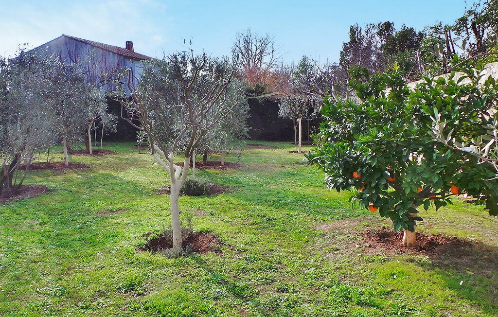 Le Mas De Lucie, Maison 6 personnes à Saint Martin De Crau - Photo 19
