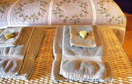 Le Haut Toupian - Maison en forêt avec piscine : photo 16