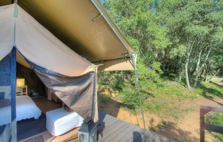 Luxury Tent  Figuier, Location Maison 4 personnes à Goudargues - Photo 11