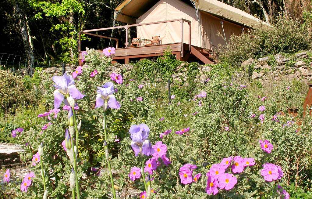 Luxury Tent Olivier - Tente 30m² en domaine forestier - Photo 4
