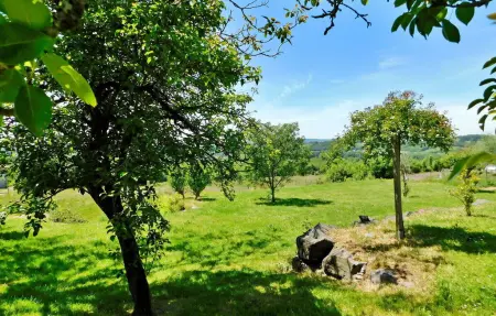 Le Logis Des 4 Soeurs, Maison 12 personnes à Allassac - Photo 10