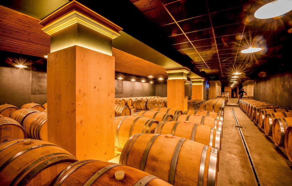 La Bastide De Cinsault – Maison vignoble 6 pers. - Photo 28