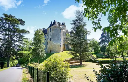 La Perle Bleue - Maison pierre Castelnaud, piscine privée : photo 36