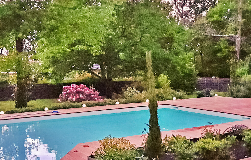Villa Gaya – Maison 6 pers. piscine à Gradignan - Photo 5