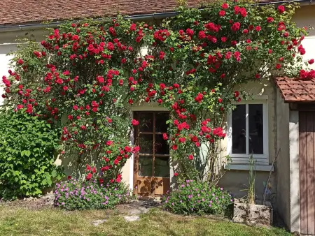 Gîte familial 6 pers., cour privée à La Neuville-sur-Essonne : photo 29