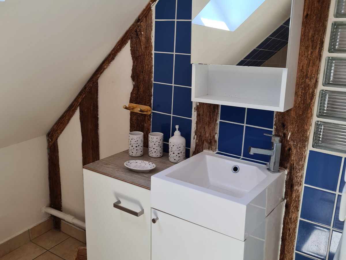 Gîte solognot 6 pers. – Calme, boisé, près châteaux Loire - Photo 15
