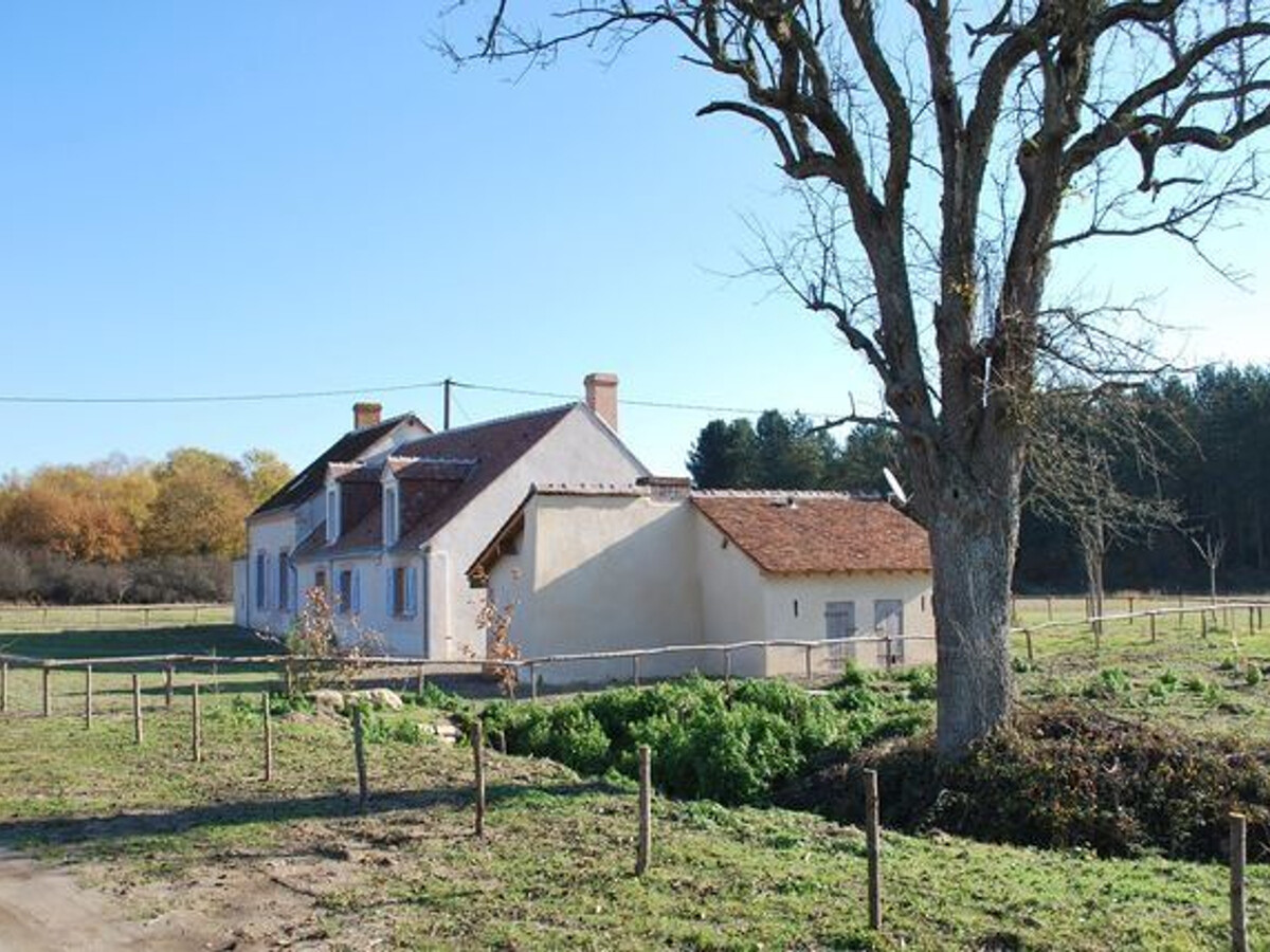 Gîte solognot 6 pers. – Calme, boisé, près châteaux Loire - Photo 19