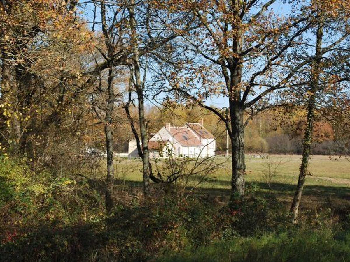 Gîte solognot 6 pers. – Calme, boisé, près châteaux Loire - Photo 20