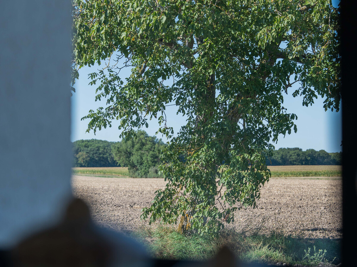 Gîte Cas Rouge : ancienne ferme rénovée 10 pers., jardin 450m² - Photo 30