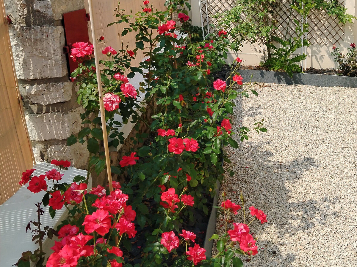 Gîte en bord de Loing à Montargis - Nature, culture et détente à une heure de Paris - Photo 19
