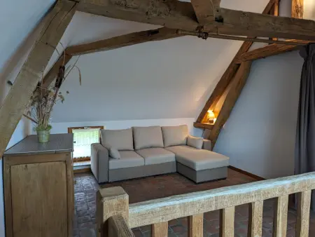 Gîte rural du XVIIè s. à Lorcy, terrasse privée : photo 10