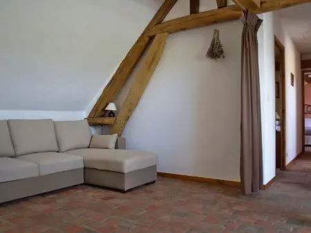 Gîte rural du XVIIè s. à Lorcy, terrasse privée : photo 11