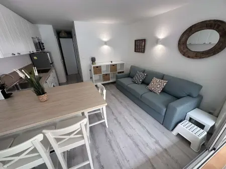 Appartement 2 pièces rénové et climatisé à 50 m de la plage, Port Camargue : photo 7