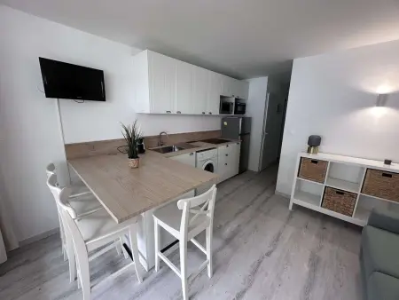 Appartement 2 pièces rénové et climatisé à 50 m de la plage, Port Camargue : photo 16
