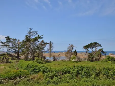 Kermorvan, maison 2 pièces à 700 m de la mer : photo 20