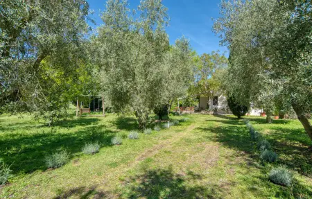 Location Maison 4 personnes à Ischia di Castro - Photo 10