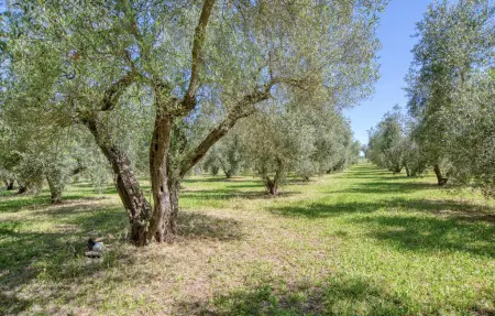 Location Maison 4 personnes à Ischia di Castro - Photo 29