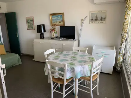 Appartement 2 pièces climatisé, terrasse et piscine à Port Camargue : photo 6