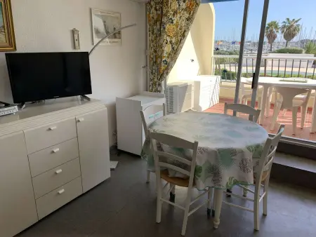 Appartement 2 pièces climatisé, terrasse et piscine à Port Camargue : photo 8