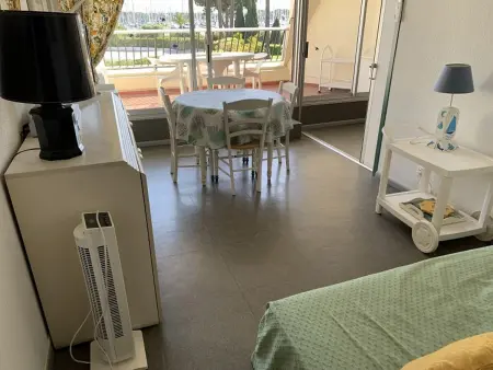 Appartement 2 pièces climatisé, terrasse et piscine à Port Camargue : photo 15