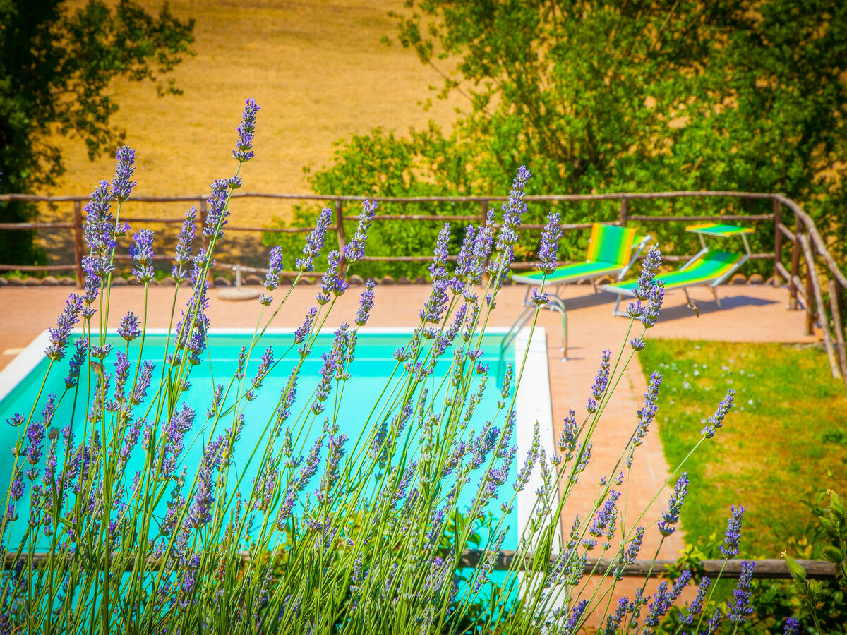 Tra Cielo e Terra – Gîte 8 pers. avec piscine à Todi - Photo 4