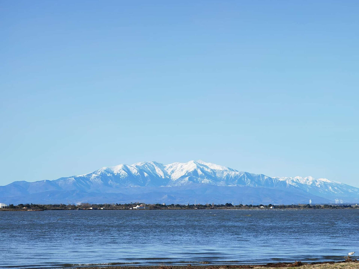 T2 climatisé avec vue port et piscine - Le Barcarès - Photo 1