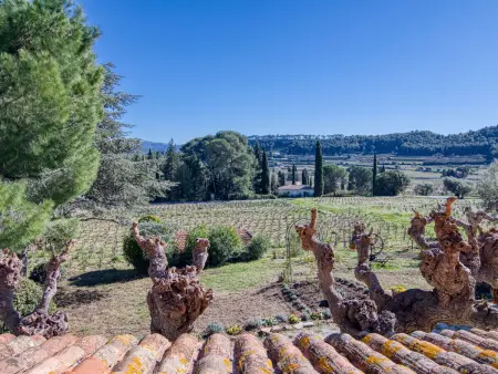 La Bastide de Magdeleine, gîte 4 chambres en Provence : photo 34