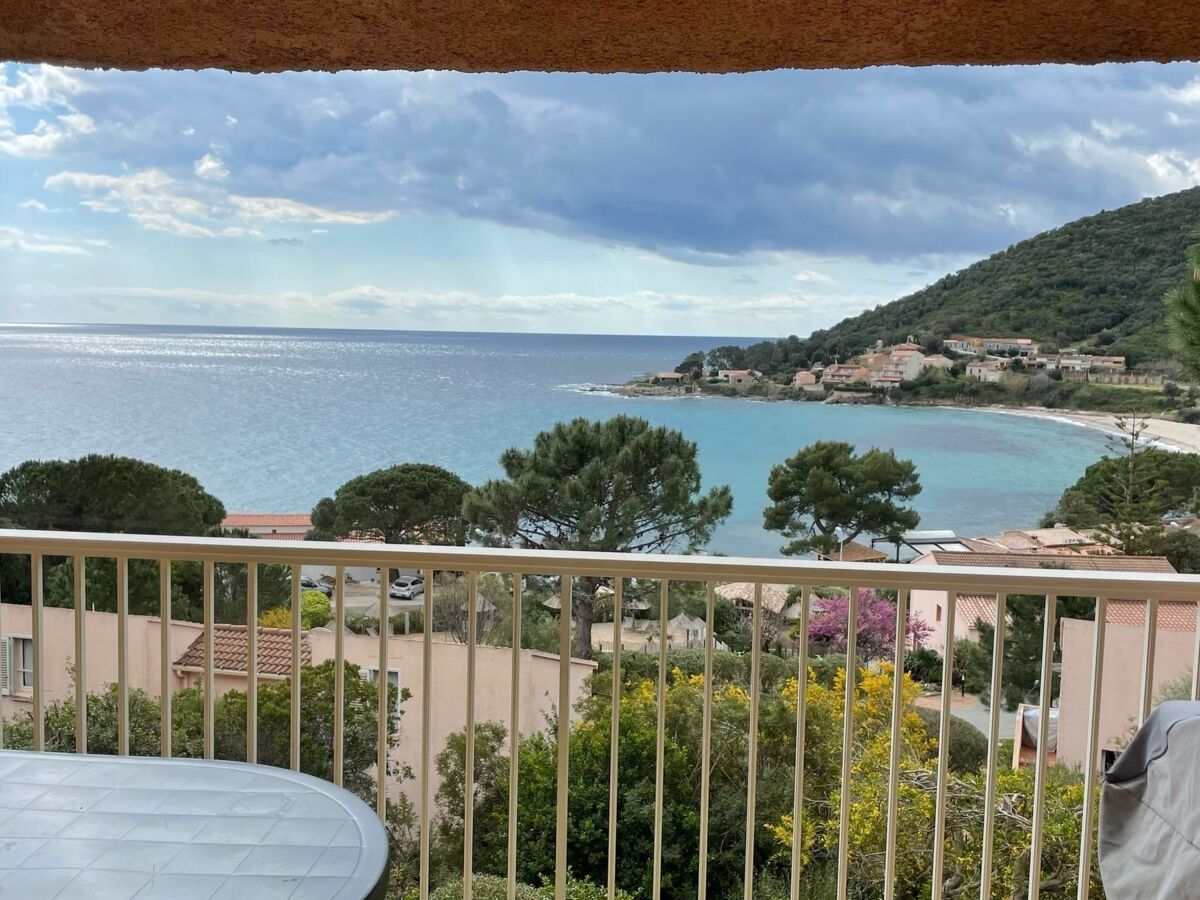 Le Télémaque, 3 pièces mezzanine avec vue mer à Tarco - Photo 13