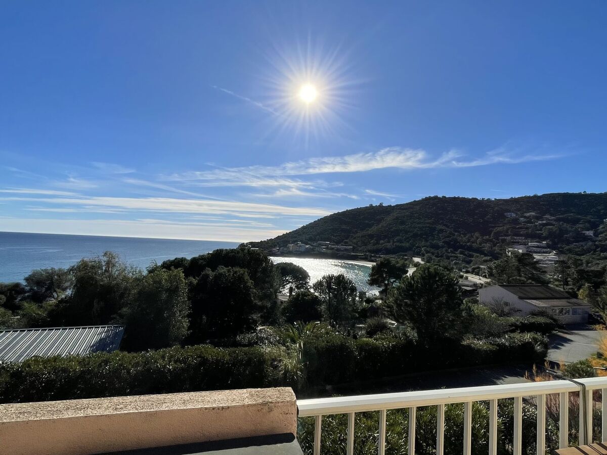 Le Télémaque, 3 pièces mezzanine avec vue mer à Tarco - Photo 14