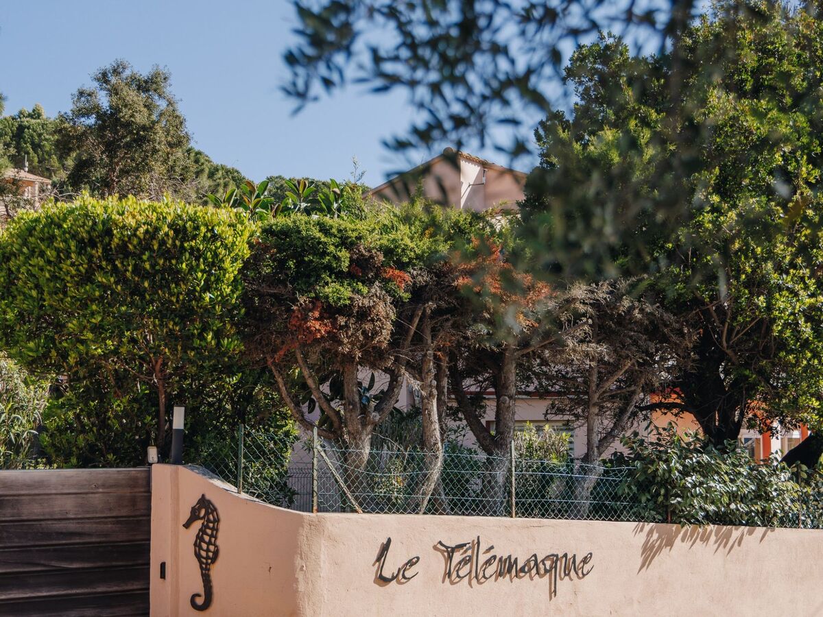 Le Télémaque, 3 pièces mezzanine avec vue mer à Tarco - Photo 16