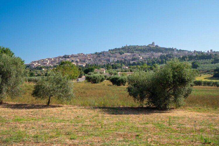 Maison 4 personnes avec jardin près d'Assisi - Photo 26