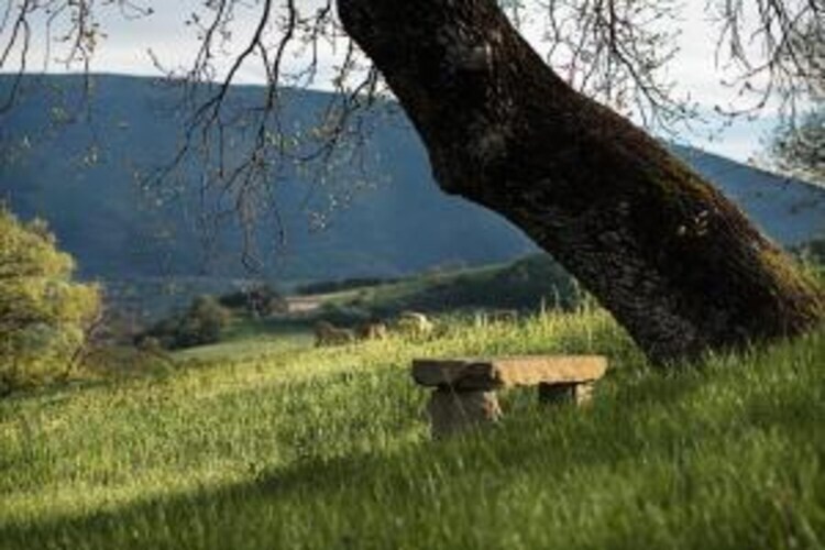 Maison 4 personnes avec jardin près d'Assisi - Photo 27