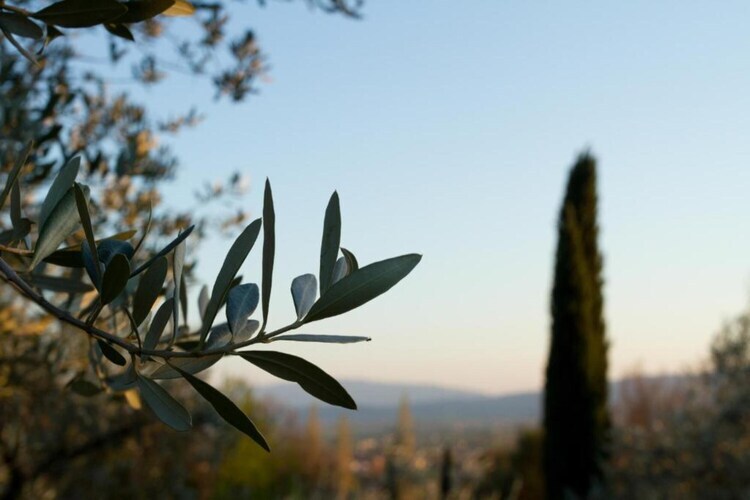 Maison 4 personnes avec jardin près d'Assisi - Photo 30