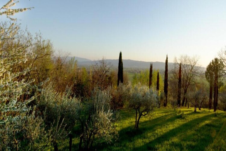 Maison 4 personnes avec jardin près d'Assisi - Photo 32