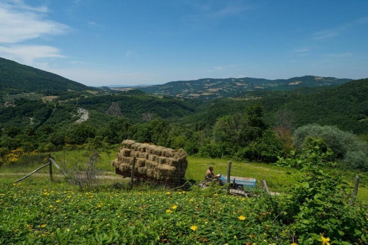 Maison 4 personnes avec jardin près d'Assisi - Photo 34