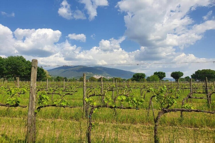 Maison 4 personnes avec jardin près d'Assisi - Photo 35