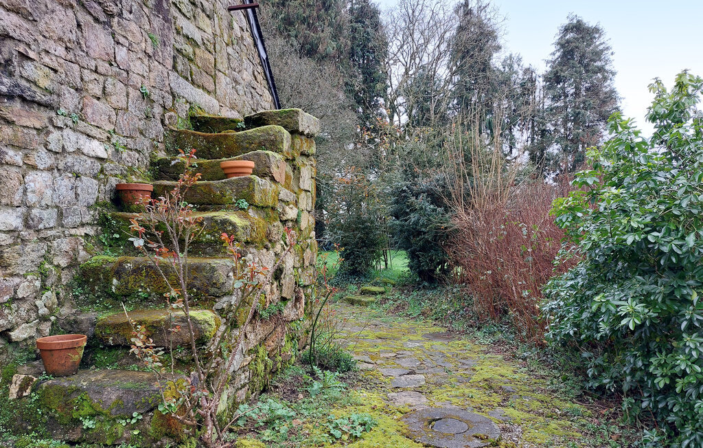 Maison en pierre Lignol, jardin 2000 m² et barbecue - Photo 2