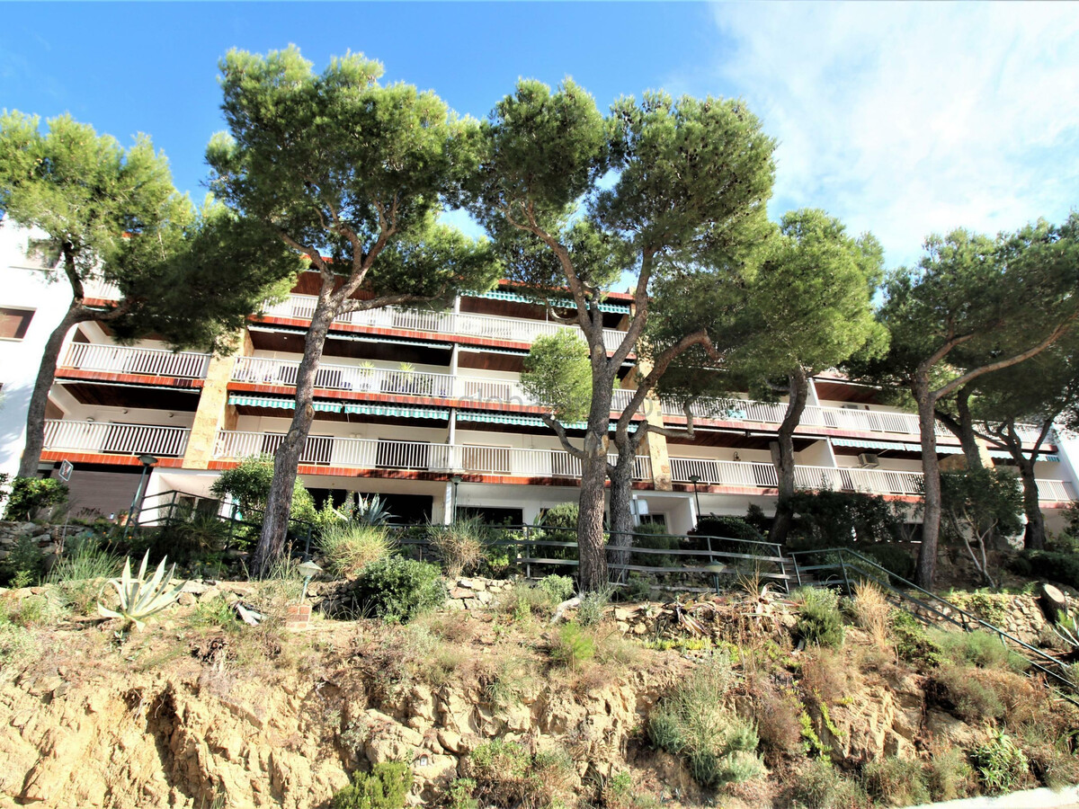 Appartement 4 pers., 1 chambre à Roses près plage - Photo 19