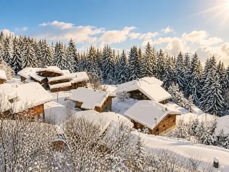 Chalet des Cerfs · 10 personnes · Terrasse 80m² · Mont-Blanc : photo 17