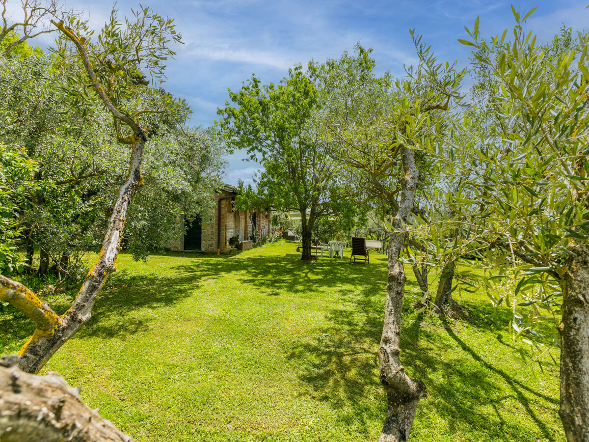 Mangiatoia – Appartement Greve in Chianti - Photo 36