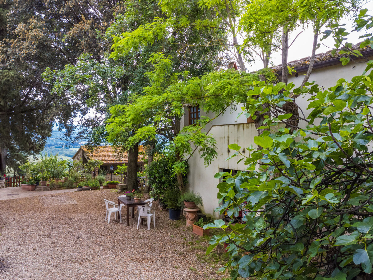 Antico Frantoio, appartement 4 pers. Chianti - Photo 34