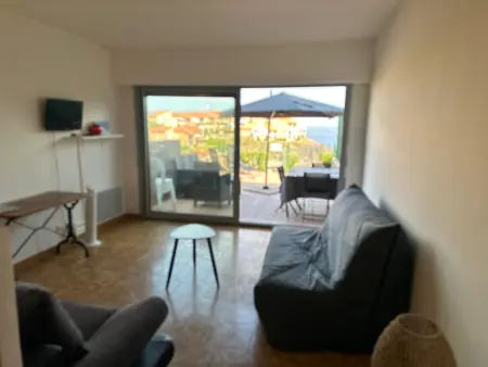 T2 Port-Vendres, terrasse vue mer et parking privé : photo 8