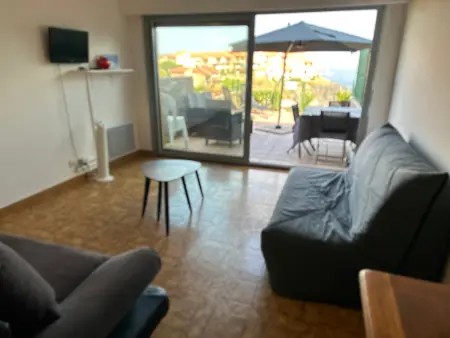 T2 Port-Vendres, terrasse vue mer et parking privé : photo 17