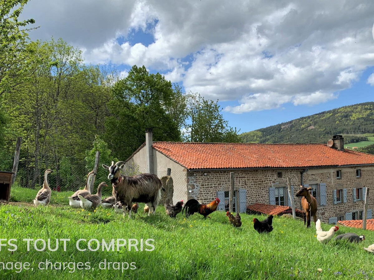 Au Temps Passé : gîte 12 pers. boiseries, cheminée et jardin - Photo 1