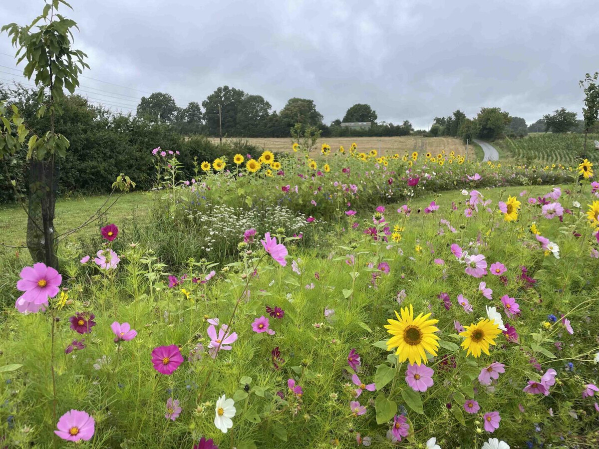 Longère Percheronne avec jardin clos à Comblot - Photo 35