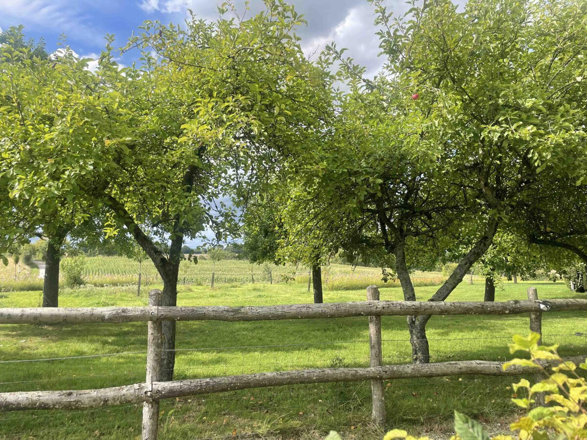 Longère Percheronne avec jardin clos à Comblot - Photo 36