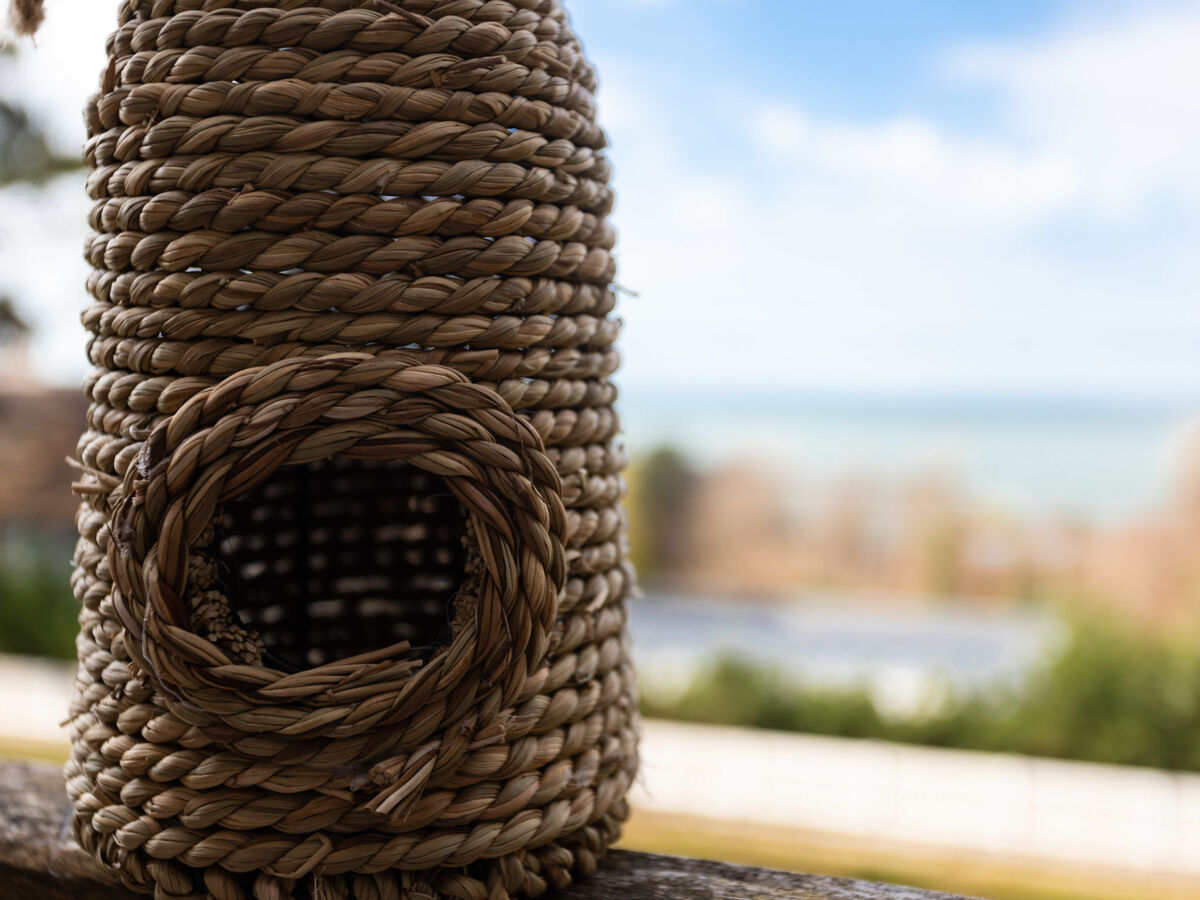 Les Flots Bleus – studio vue mer rénové à Trouville - Photo 17