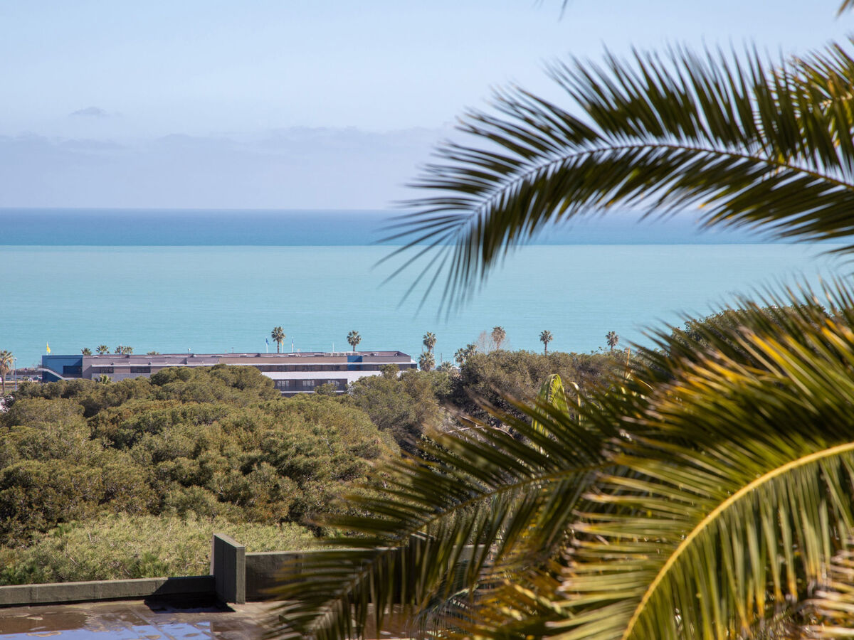 Les Coralines : Studio 35 m² vue mer à Villeneuve-Loubet - Photo 15