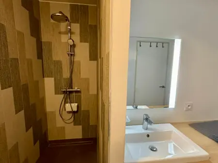 Appartement luxe face mer, piscine chauffée, animaux acceptés : photo 6