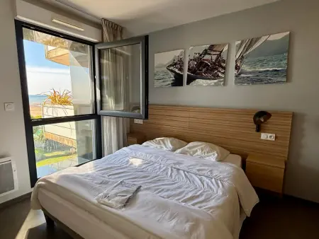 Appartement luxe face mer, piscine chauffée, animaux acceptés : photo 12